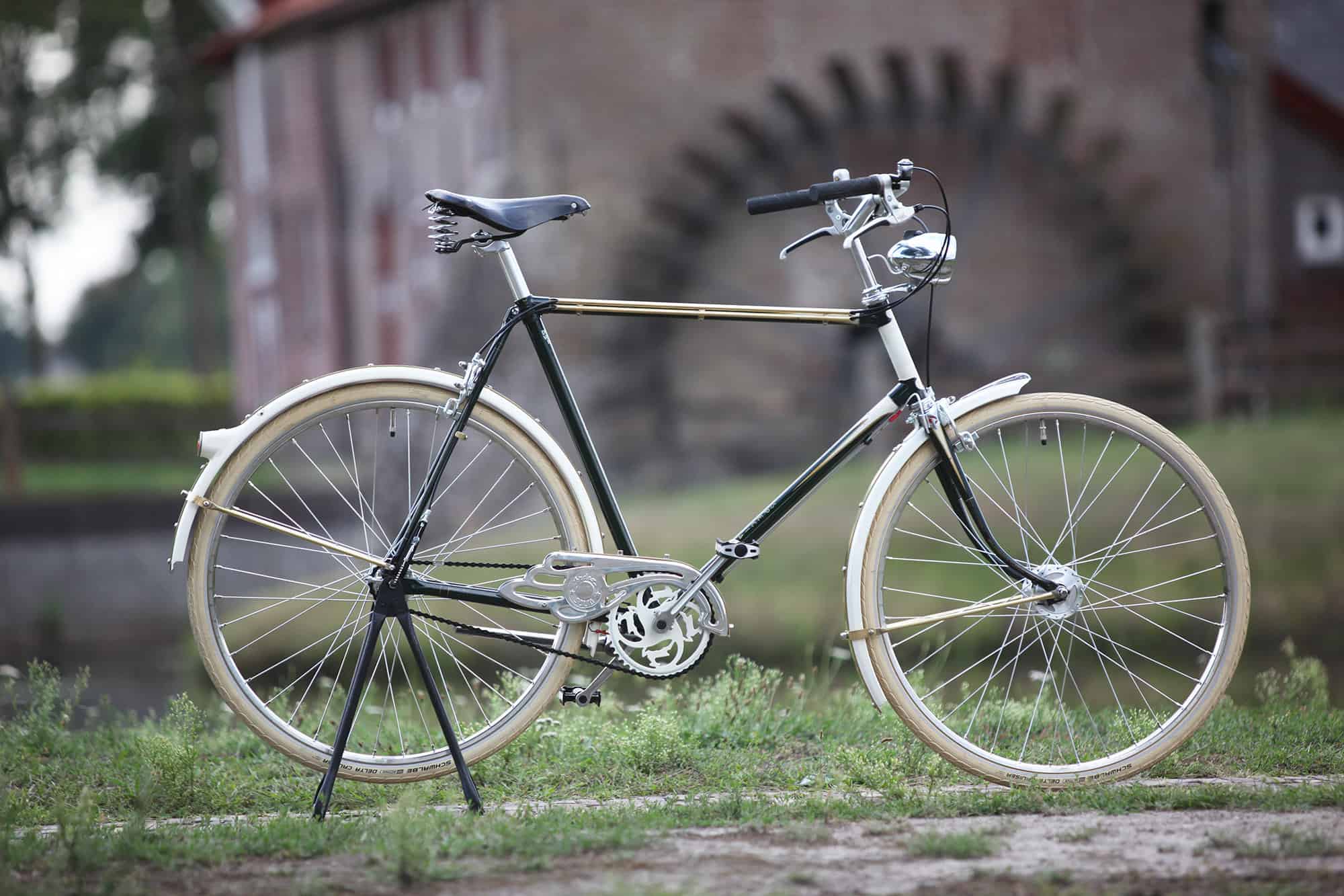Pak om te zetten werkwoord druiven Gazelle - Speciaal - Green beauty - Dutch World Bikes