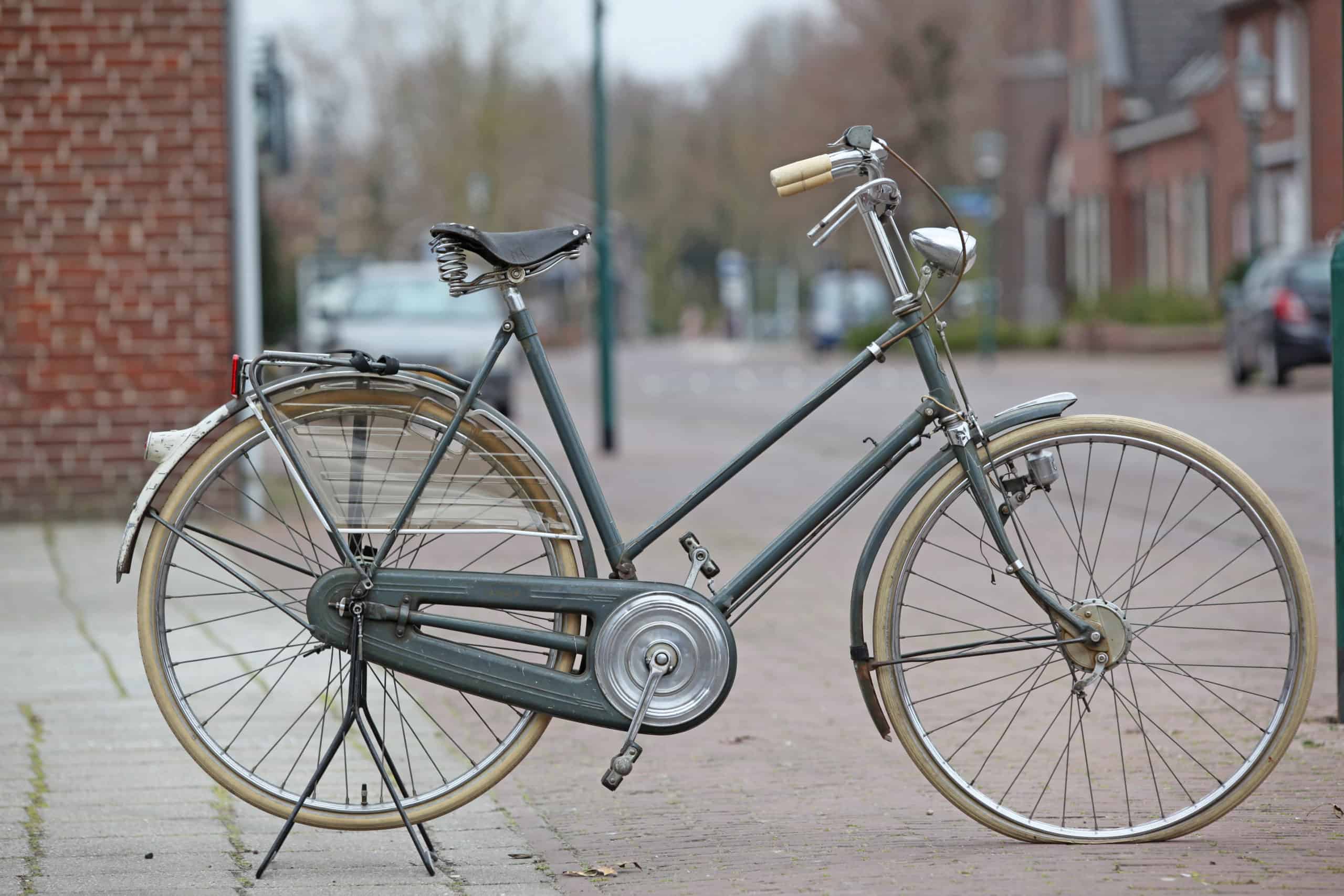Dodelijk salaris Wereldrecord Guinness Book Gazelle Sport 1958 - Hippe ebike - Dutch World Bikes