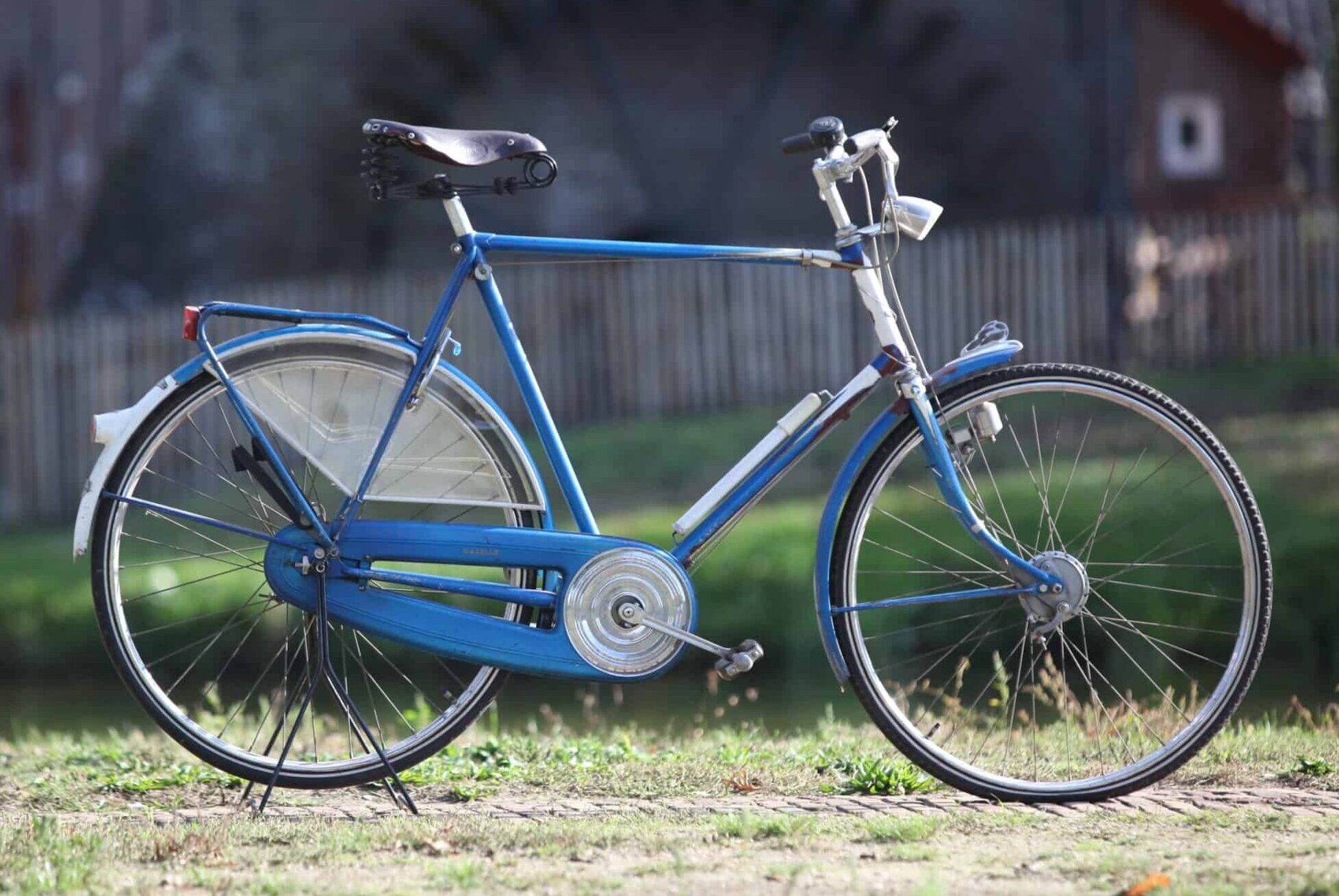 Weg huis Gedateerd hervorming In de maak - Dutch World Bikes