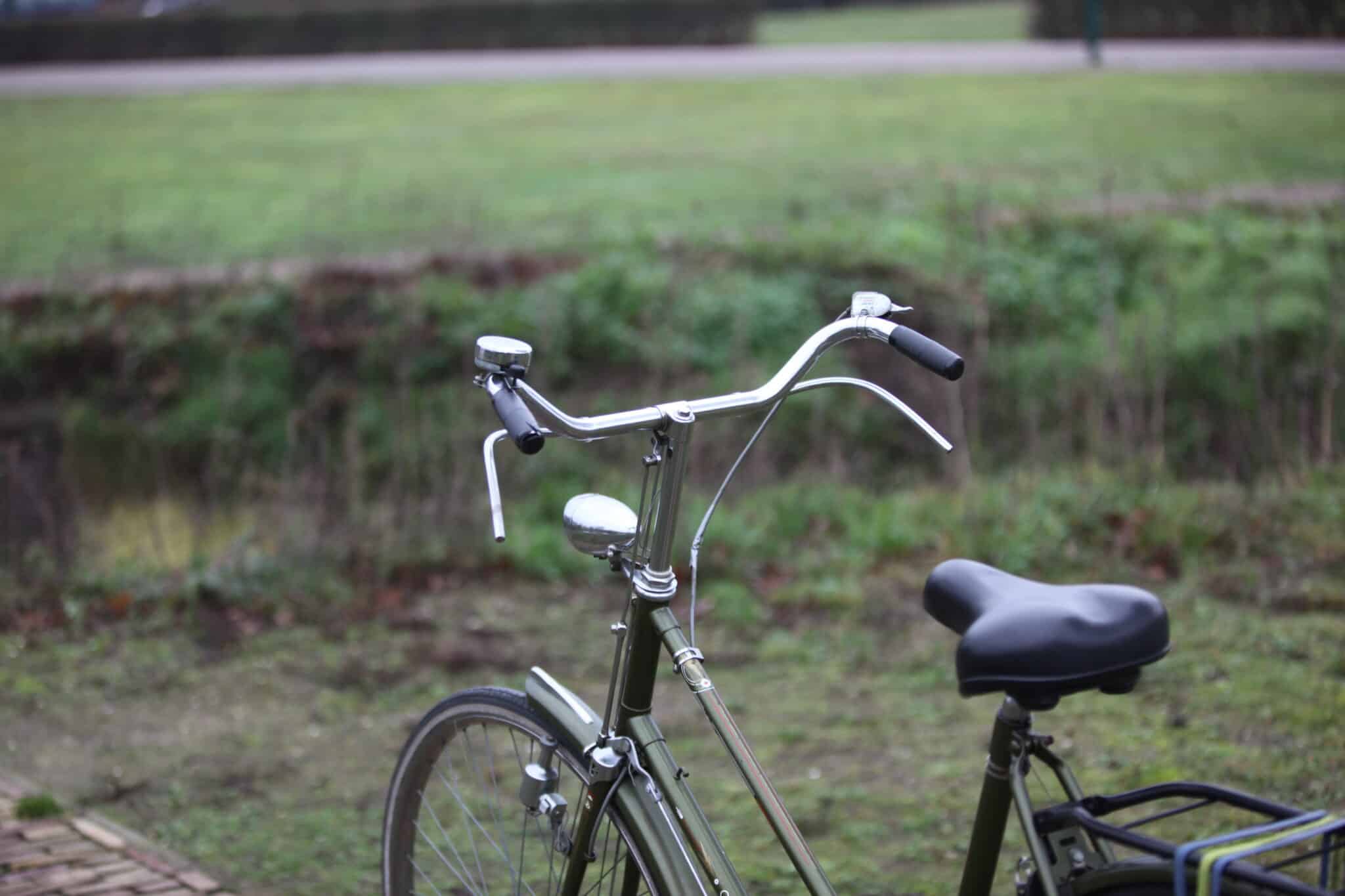 gazelle racing bike