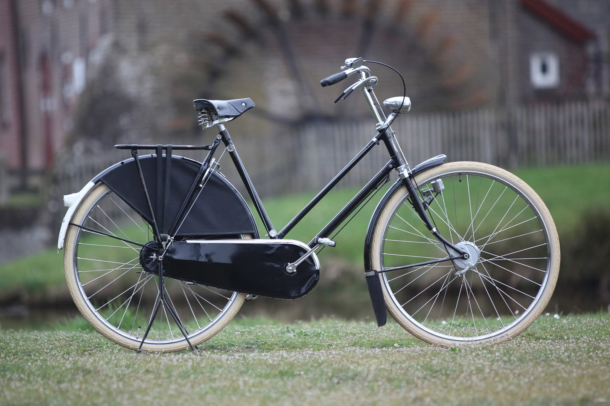 Gazelle nr8